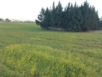 أراضي   90000 م² - Photo 0