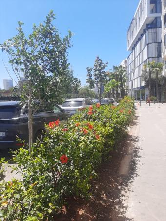 شقة (برطما)  6 غرف 160 م² - Photo 0