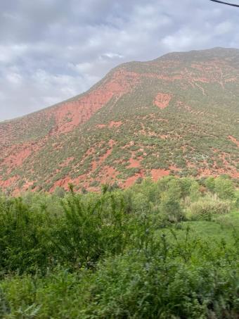 Terrain   20000 m² - Photo 0