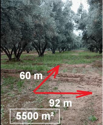 Terrain   0 m² - Photo 0