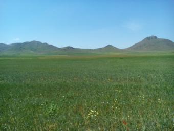 Terrain   160000 m² - Photo 0