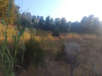 Land  5 pieces 3100 m² - Photo 0