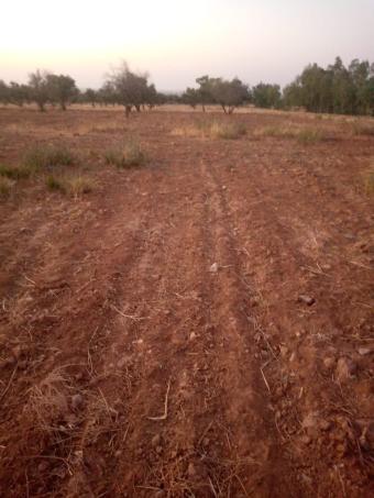 Land   80000 m² - Photo 0