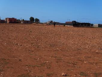 Terrain   10000 m² - Photo 0