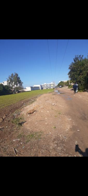 أراضي   10000 م² - Photo 0