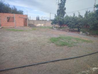 Land   1000 m² - Photo 0