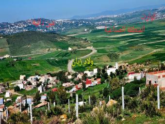 Land   100 m² - Photo 0