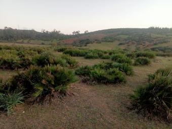 Land   7442 m² - Photo 0