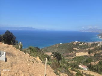 أراضي   0 م² - Photo 0